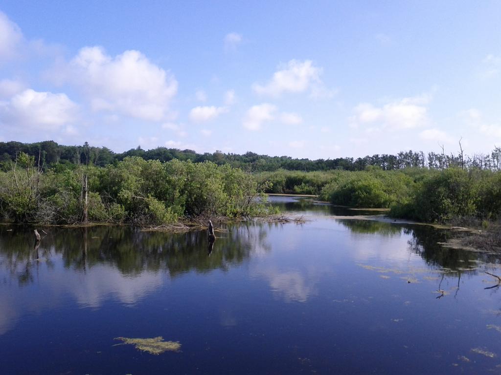 Dom Goscinny Koja Kołobrzeg Esterno foto