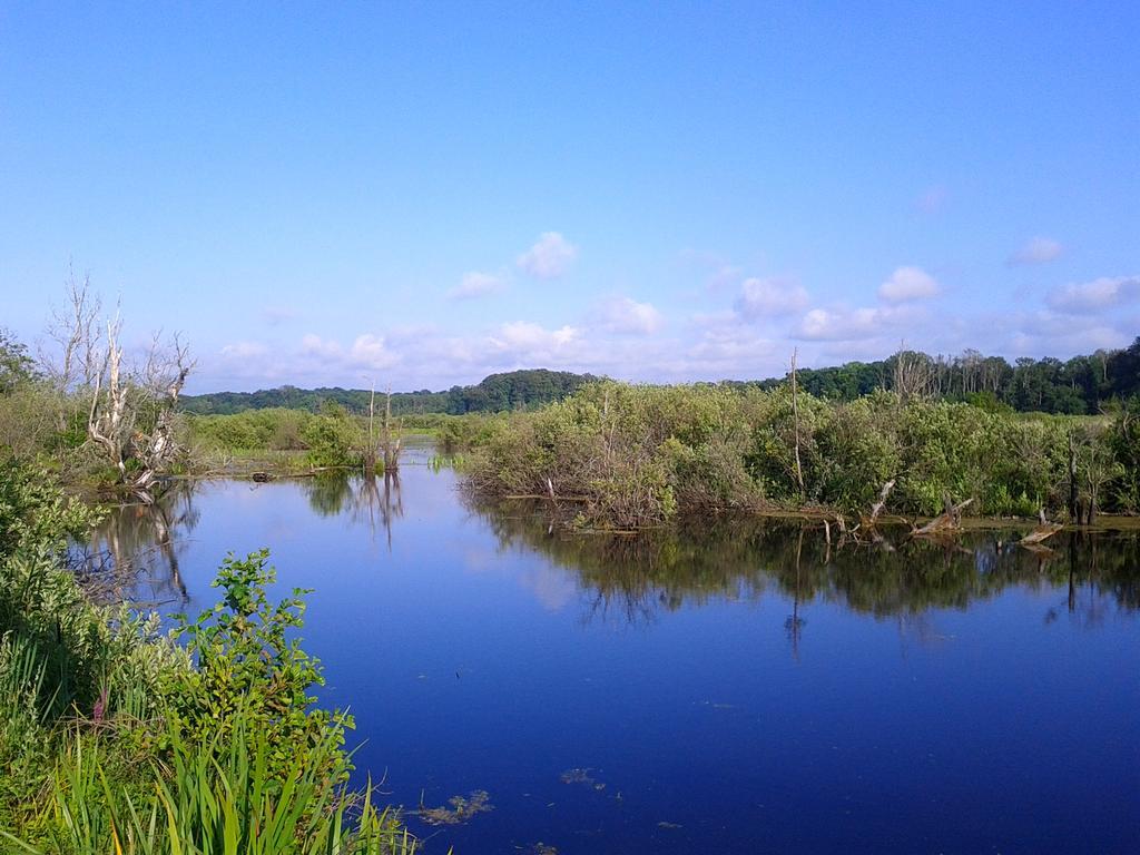 Dom Goscinny Koja Kołobrzeg Esterno foto